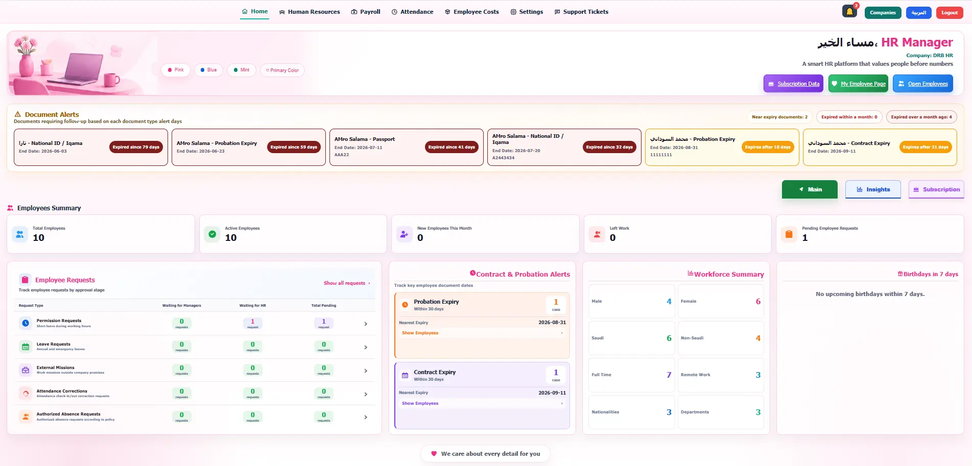 Actual DRB HR interface in the pink theme